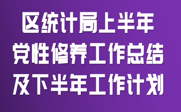 ��ͳ�ƾ��ϰ��굳�����������ܽἰ�°��깤���ƻ�