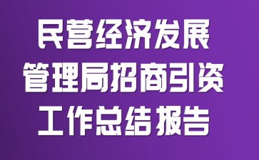 民营经济发展管理局招商引资工作总结报告