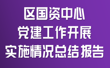 区国资中心党建工作开展实施情况总结报告