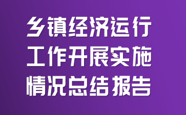 乡镇经济运行工作开展实施情况总结报告