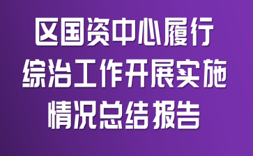 区国资中心履行综治工作开展实施情况总结报告