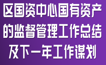 区国资中心国有资产的监督管理工作总结及下一年工作谋划