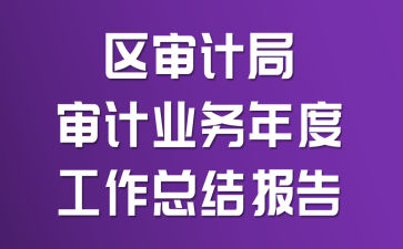 区审计局审计业务年度工作总结报告