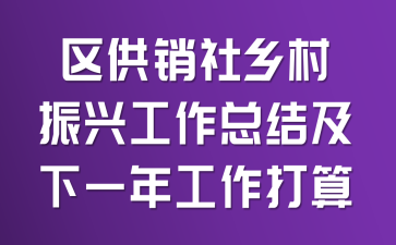 区供销社乡村振兴工作总结及下一年工作打算