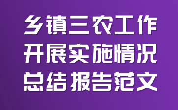乡镇三农工作开展实施情况总结报告范文