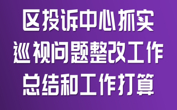 区投诉中心抓实巡视问题整改工作总结和工作打算