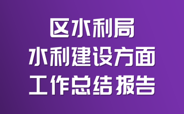 区水利局水利建设方面工作总结报告