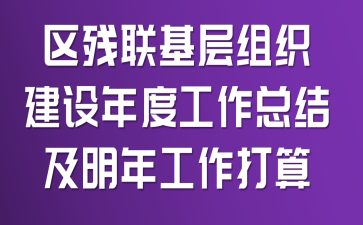 区残联基层组织建设年度工作总结及明年工作打算