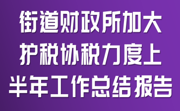 �ֵ��������Ӵ�˰Э˰�����ϰ��깤���ܽᱨ��