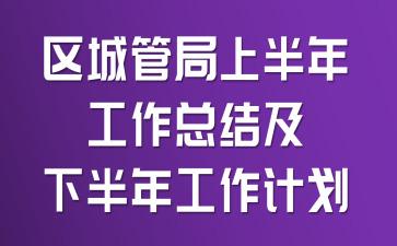 区城管局上半年工作总结及下半年工作计划