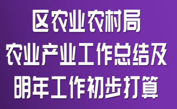 区农业农村局农业产业工作总结及明年工作初步打算