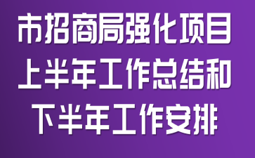 市招商局强化项目上半年工作总结和下半年工作安排