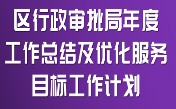 区行政审批局年度工作总结及优化服务目标工作计划