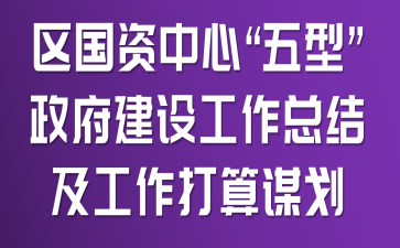 区国资中心“五型”政府建设工作总结及工作打算谋划