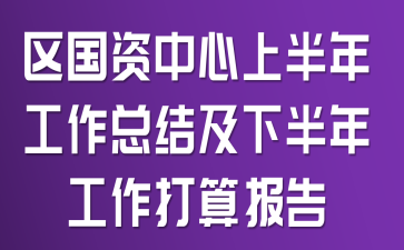 区国资中心上半年工作总结及下半年工作打算报告