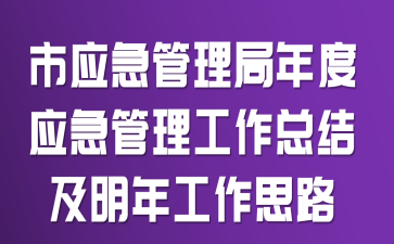 市应急管理局年度应急管理工作总结及明年工作思路