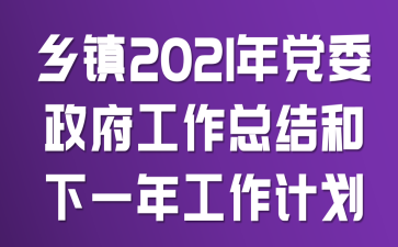 乡镇2021年党委政府工作总结和下一年工作计划
