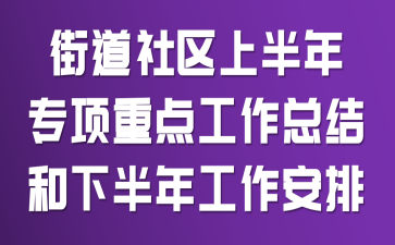 街道社区上半年专项重点工作总结和下半年工作安排