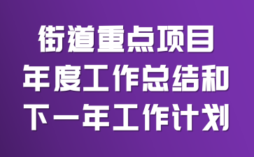 街道重点项目年度工作总结和下一年工作计划