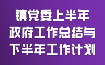 镇党委上半年政府工作总结与下半年工作计划