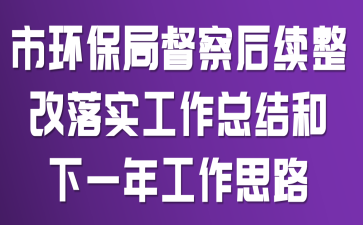 市环保局督察后续整改落实工作总结和下一年工作思路