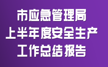 市应急管理局上半年度安全生产工作总结报告
