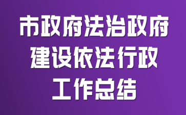 市政府法治政府建设依法行政工作总结