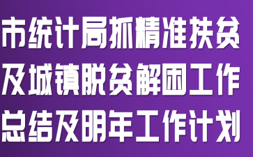 市统计局抓精准扶贫及城镇脱贫解困工作总结及明年工作计划