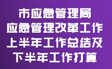 市应急管理局应急管理改革工作上半年工作总结及下半年工作打算