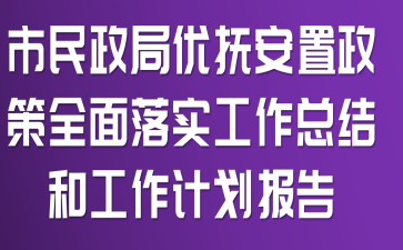 市民政局优抚安置政策全面落实工作总结和工作计划报告