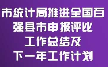 市统计局推进全国百强县市申报评比工作总结及下一年工作计划