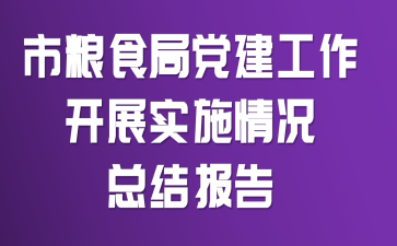 市粮食局党建工作开展实施情况总结报告
