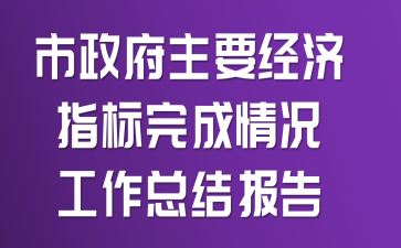 市政府主要经济指标完成情况工作总结报告