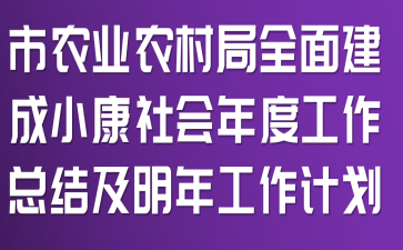 市农业农村局全面建成小康社会年度工作总结及明年工作计划