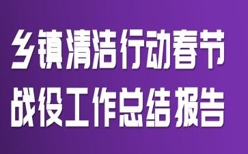 乡镇清洁行动春节战役工作总结报告