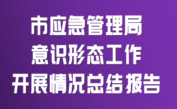 市应急管理局意识形态工作开展情况总结报告