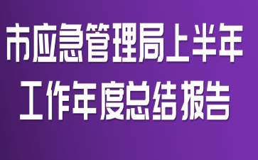 市应急管理局上半年工作年度总结报告