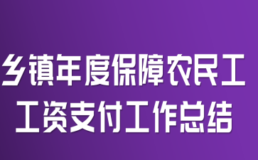 乡镇年度保障农民工工资支付工作总结