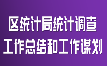 区统计局统计调查工作总结和工作谋划