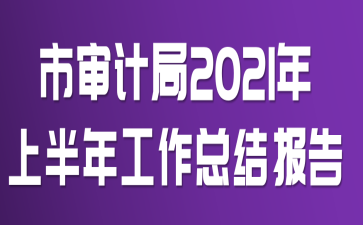 市审计局2021年上半年工作总结报告