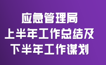 应急管理局上半年工作总结及下半年工作谋划