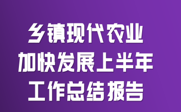 �����ִ�ũҵ�ӿ췢չ�ϰ��깤���ܽᱨ��