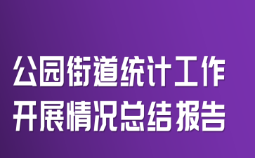 公园街道统计工作开展情况总结报告