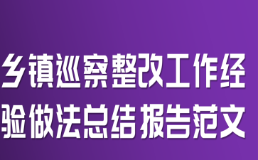 乡镇巡察整改工作经验做法总结报告范文