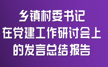 乡镇村委书记在党建工作研讨会上的发言总结报告