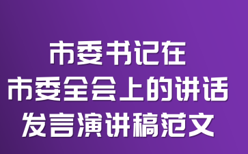 市委书记在市委全会上的讲话发言演讲稿范文