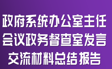 政府系统办公室主任会议政务督查室发言交流材料总结报告