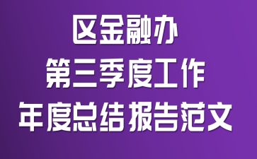 区金融办第三季度工作年度总结报告范文