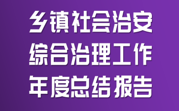 乡镇社会治安综合治理工作年度总结报告