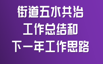 �ֵ���ˮ���ι����ܽ����һ�깤��˼·